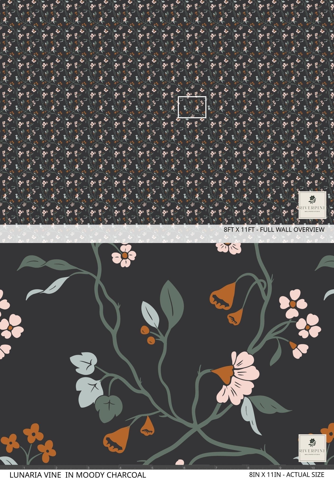 Lunaria Vine Wallpaper in Moody Charcoal - Riverpine
