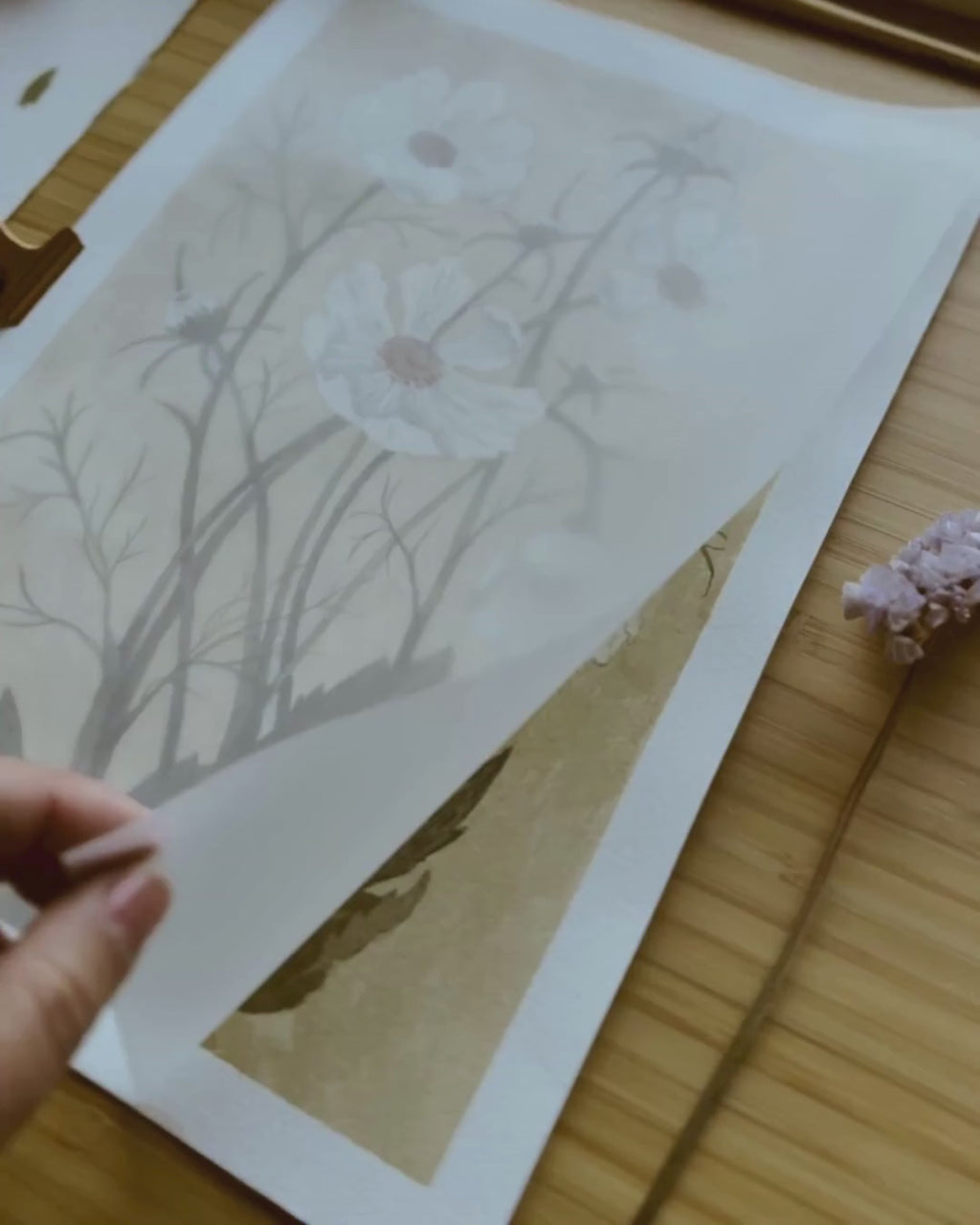 Danelys Sidron Cosmos watercolor print video being unwrapped – botanical art from The Conservatory Print Club archive.