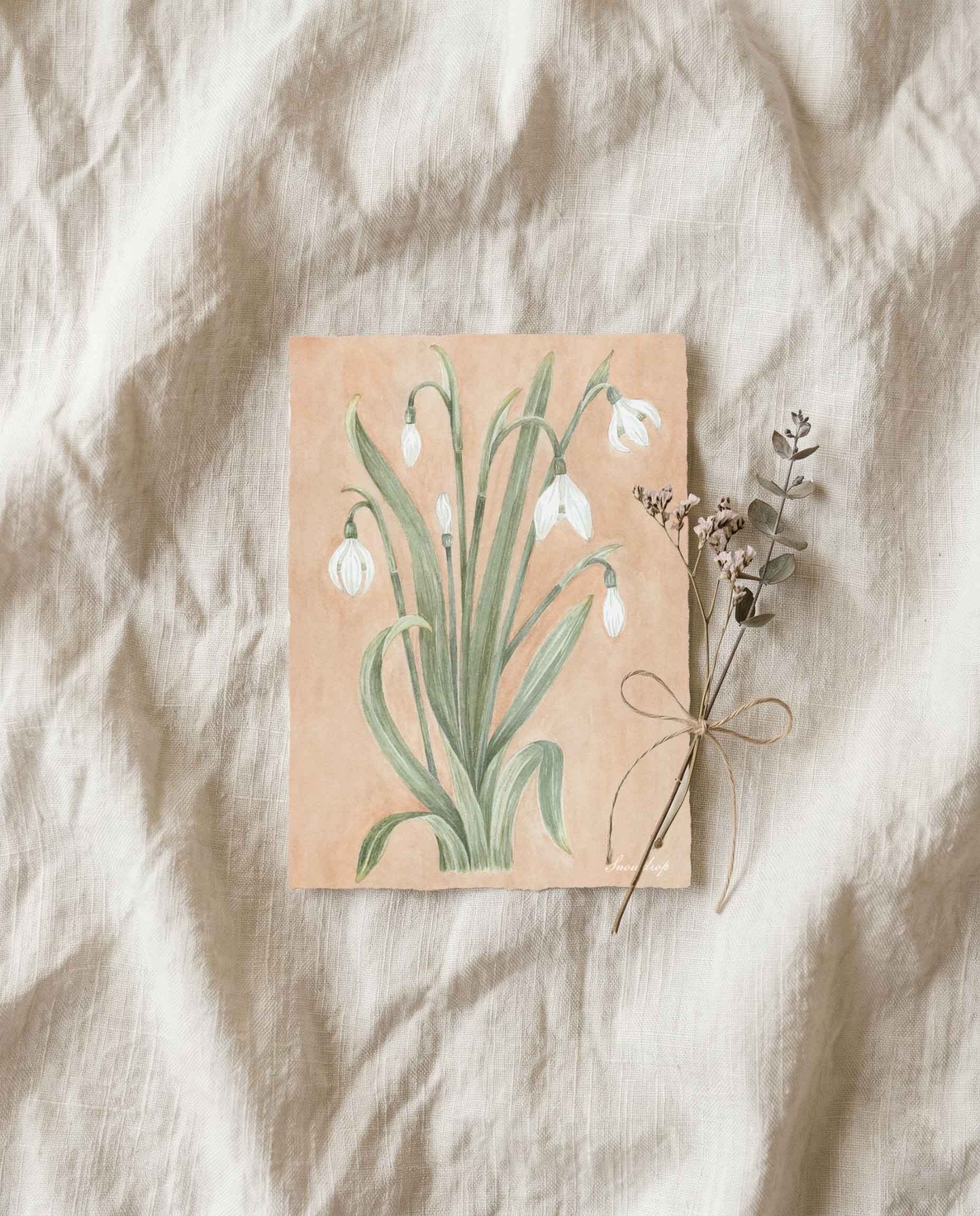 Snowdrop Art Postcard - Riverpine