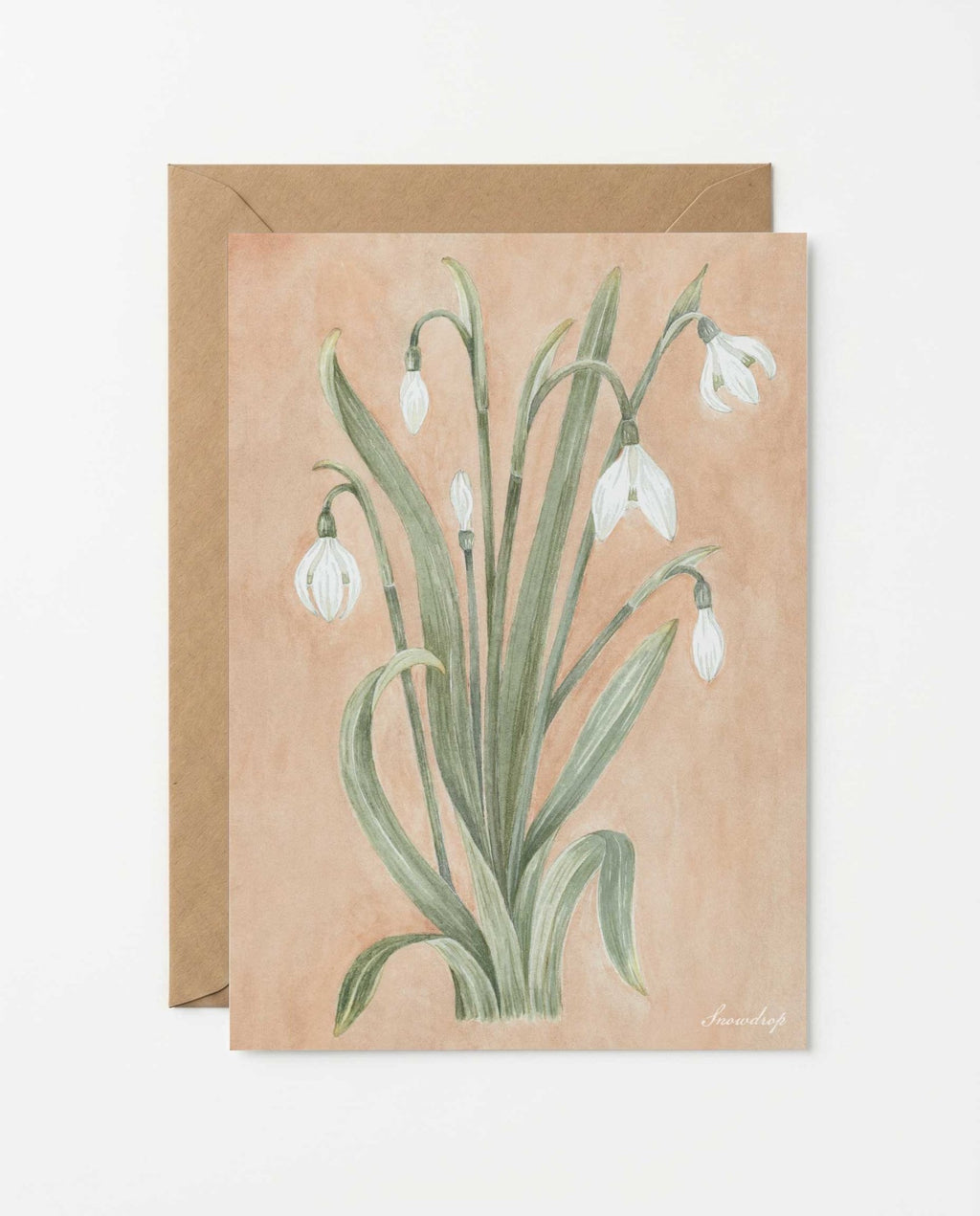 Snowdrop Art Postcard - Riverpine