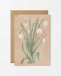Snowdrop Art Postcard - Riverpine