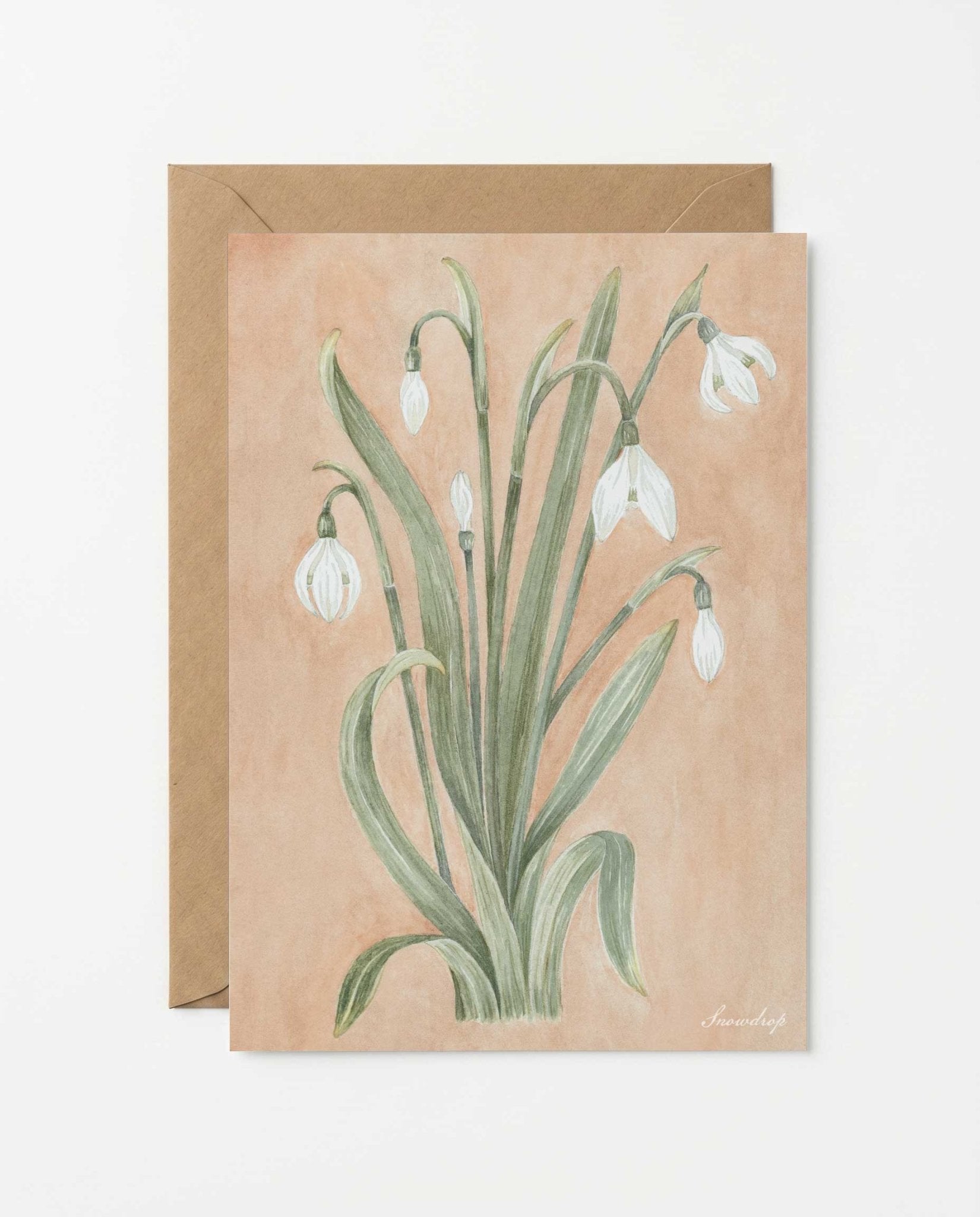 Snowdrop Art Postcard - Riverpine