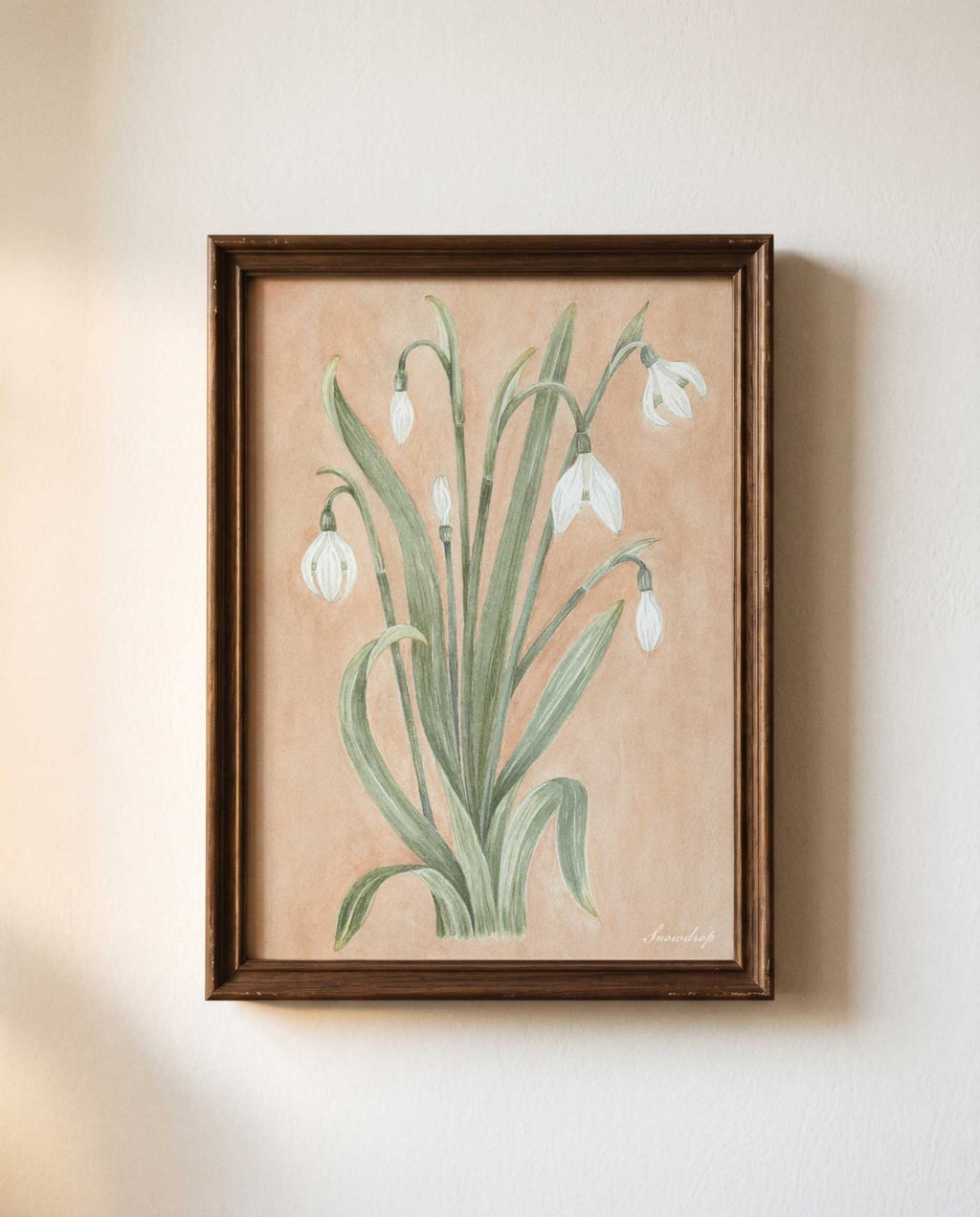 Snowdrop Watercolor Art Print - 5x7 - Riverpine