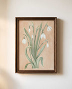 Snowdrop Watercolor Art Print - 5x7 - Riverpine