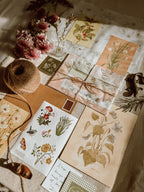 The Conservatory Print Club - Riverpine