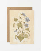 Wild Violet Study Art Postcard - Riverpine