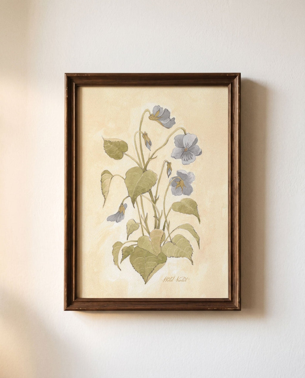 Wild Violet Study Watercolor Art Print - 5x7 - Riverpine