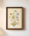 Wild Violet Study Watercolor Art Print - 5x7 - Riverpine