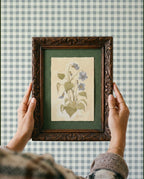 Wild Violet Study Watercolor Art Print - 5x7 - Riverpine
